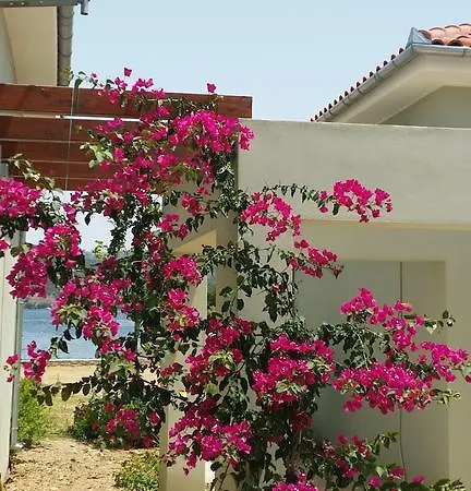 بيت للعطل Thea